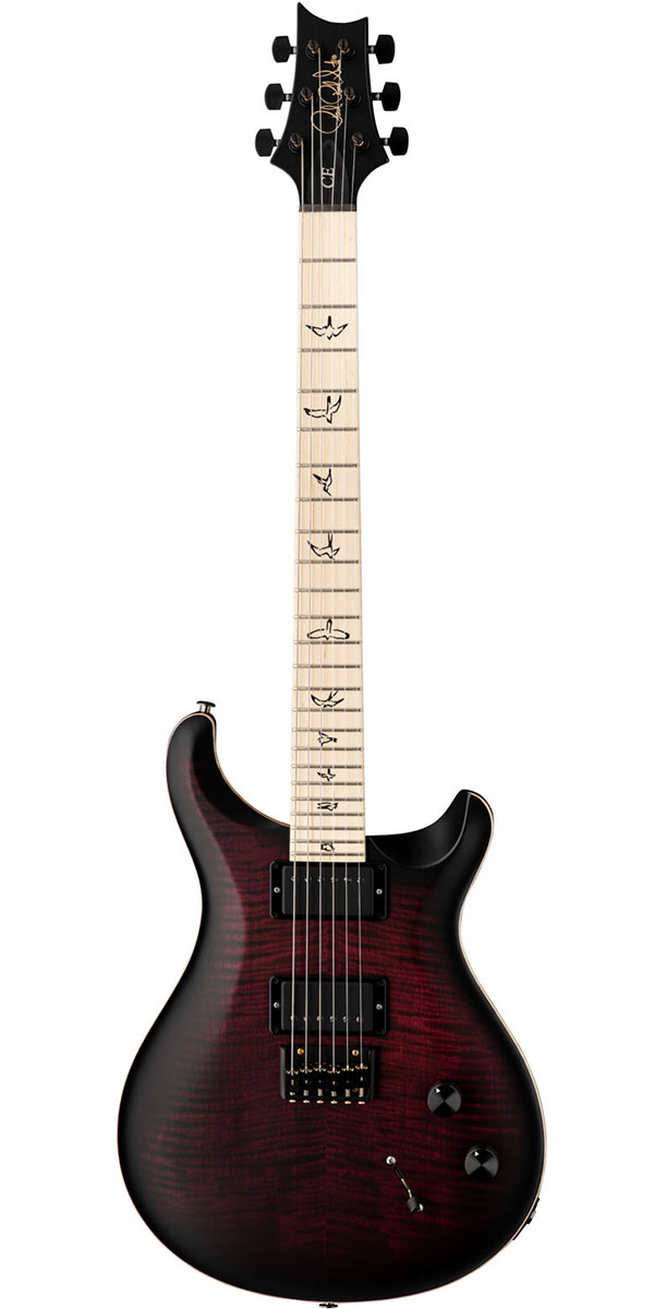 The PRS Guitar Book (Special Collectors Limited Edition