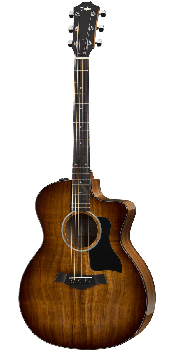 楽天市場】Taylor（テイラー）50th Anniversary 314ce LTD Shaded 