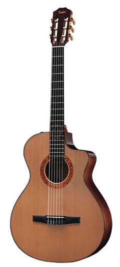 Taylor　テイラー　エレアコ　312ce　送料無料 1000480_r1.jpg