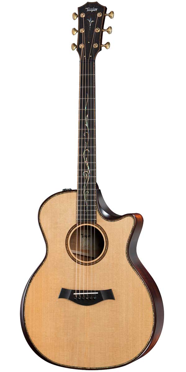 楽天市場】Taylor（テイラー）50th Anniversary 314ce LTD Shaded 