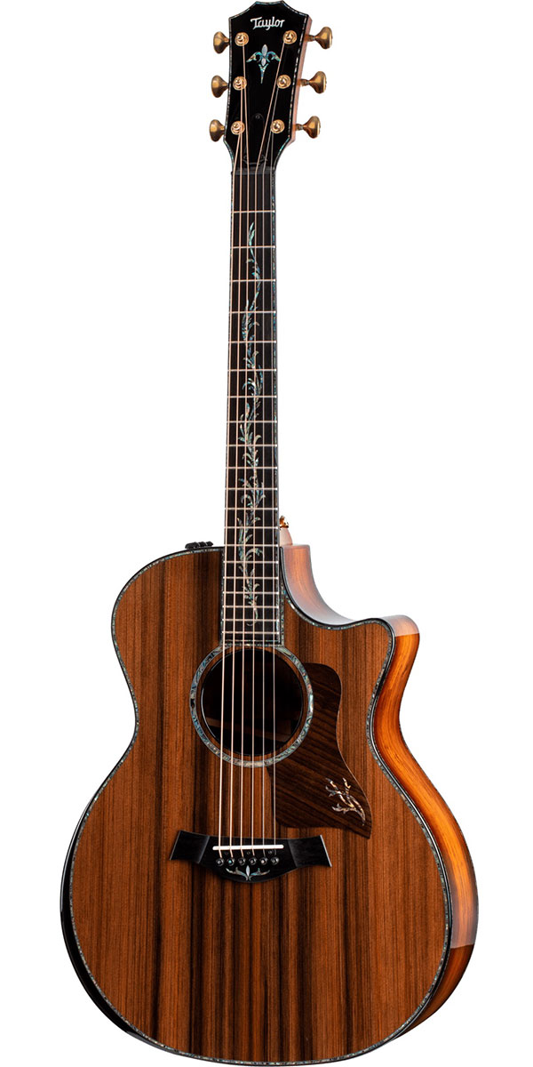 Taylor 210ce Rosewood テイラー エレアコ ローズウッド 楽天市場】Taylor 210ce Rosewoodテイラー エレアコ ローズ