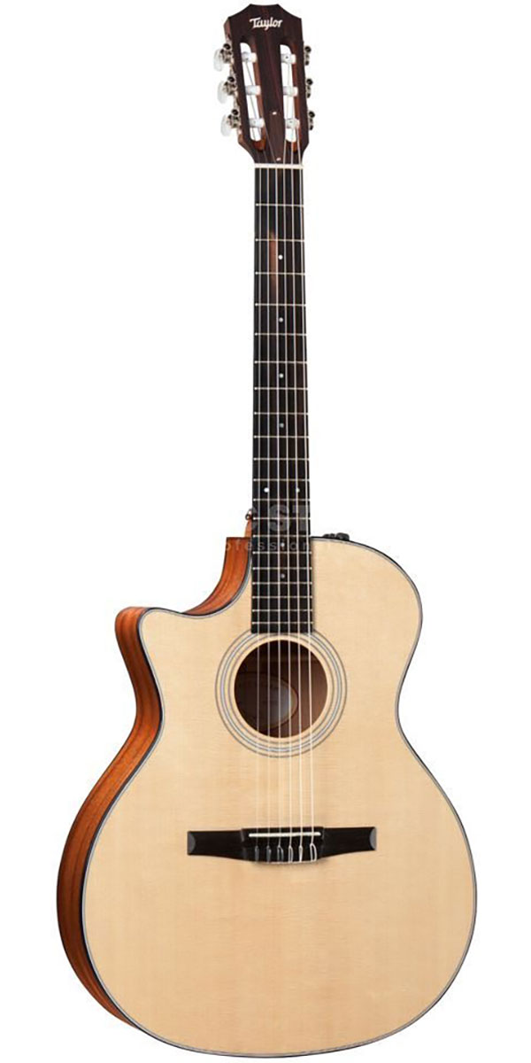 楽天市場】Taylor（テイラー）514ce V-Class Urban Ironbark Left