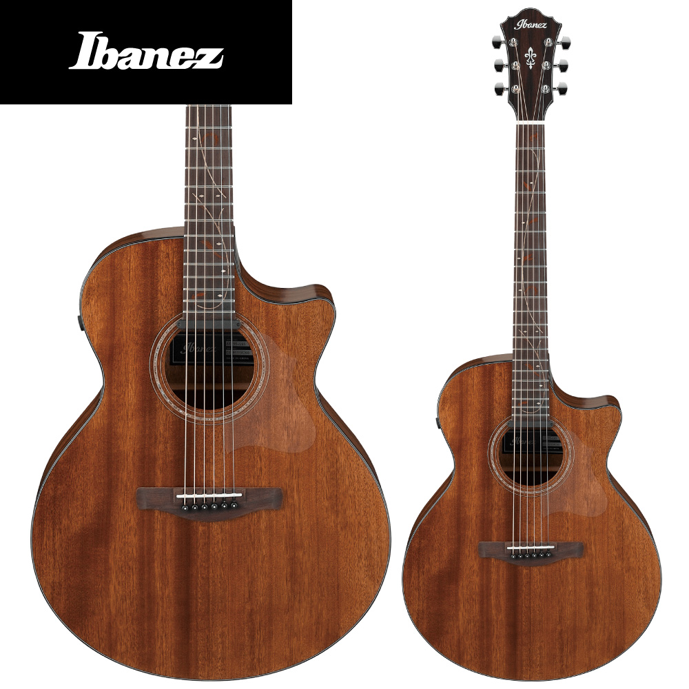 交換無料 Ibanez AE295 - LGS Natural Low Gloss 新品 アイバニーズ