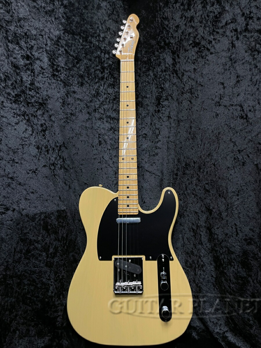 TOKAI FA-245 トーカイ フルアコ 21年製 TOKAI FA-245 トーカイ フルアコ 21年製