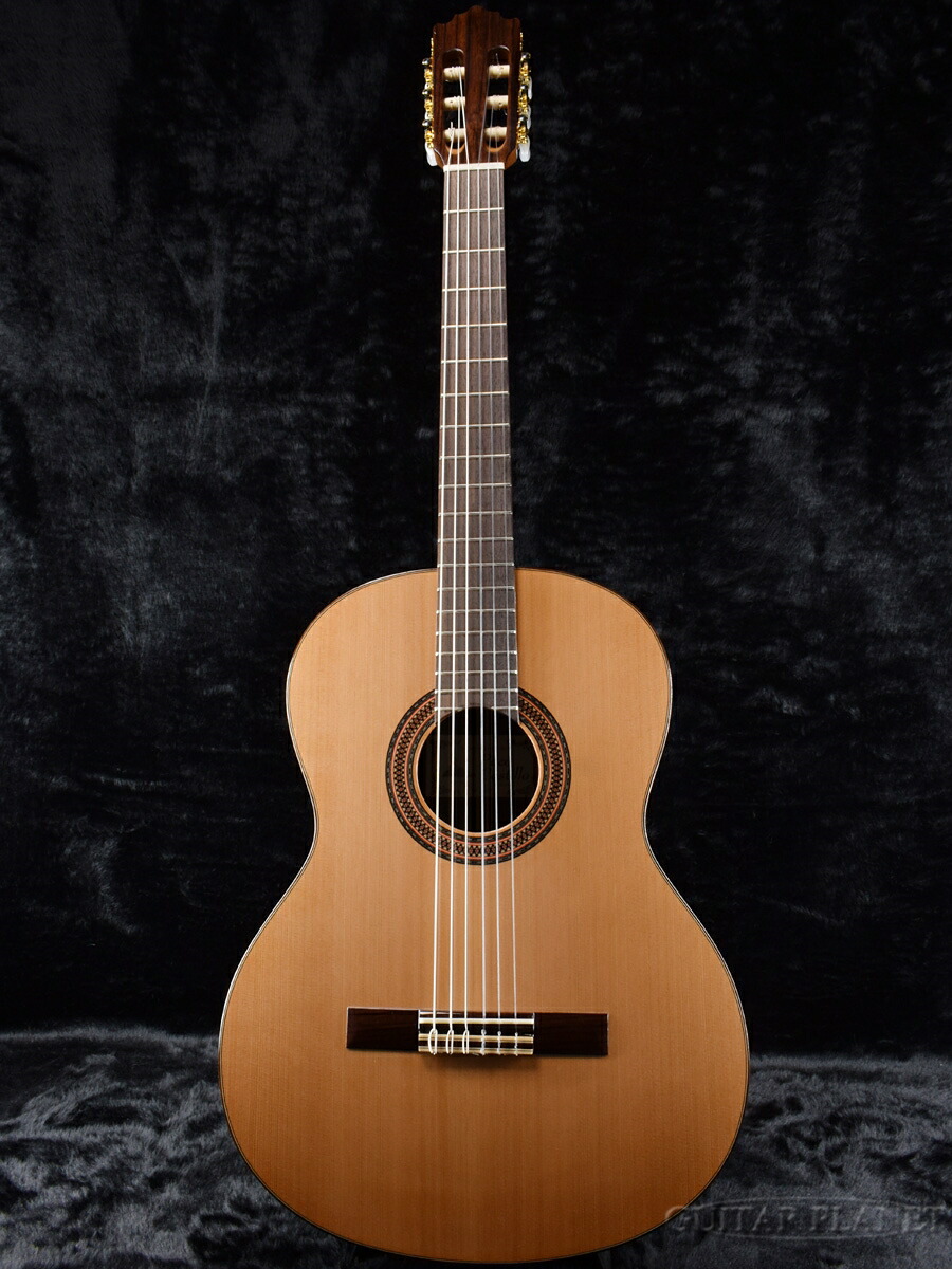 Paco Castillo 224CE スペイン製エレガット