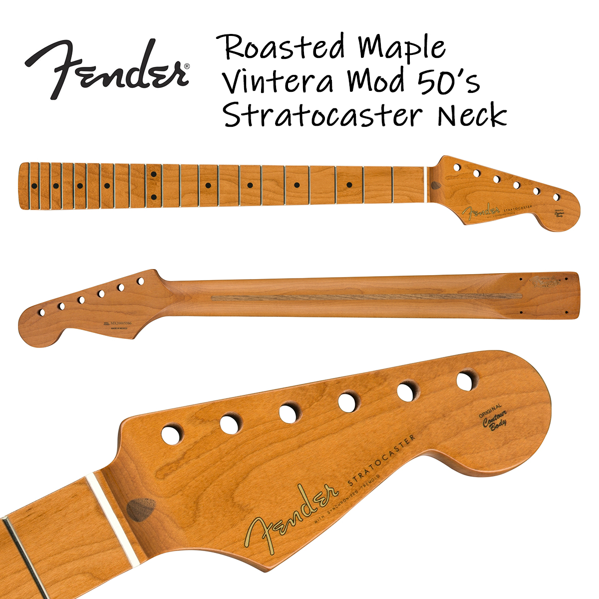 楽天市場】Fender Roasted Maple Vintera Mod 50's Stratocaster Neck