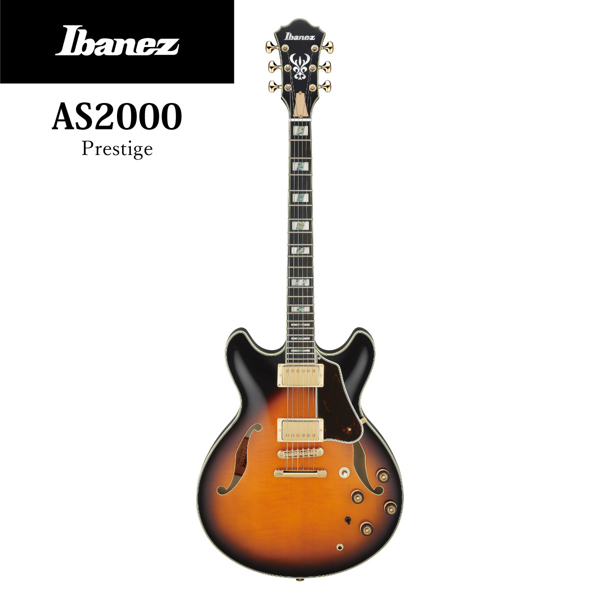 Ibanez As00 Bs Brown Sunburst As00 新品 アイバニーズ サンバースト Electric Bs Brown Guitar エレキギター ギタープラネット H3 Guitar Style Color Red 21年春頃発売予定 予約受付中 H3