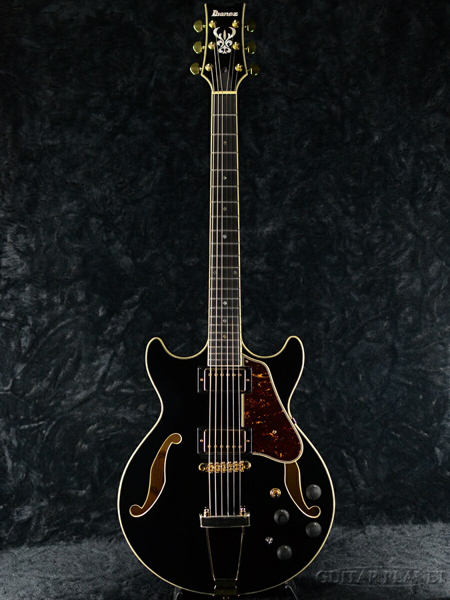 ハードケース付 Ibanez アイバニーズ AEG10NII-TNG エレガット 楽天市場】Ibanez AEG10NII TNG 新品[アイバニーズ][エレガット