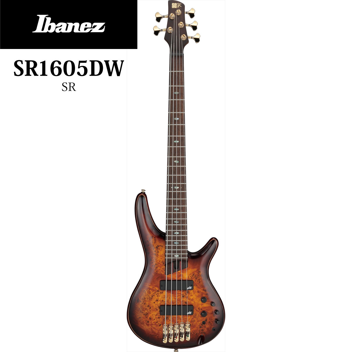 2021年夏頃予定 新品 アイバニーズ Brown 予約受付中 Ibanez Premium Burst Sr1605dw Del Dragon 5弦 楽器 音響機器 Eye Burst Low Gloss 新品 アイバニーズ Brown Natural ナチュラル ブラウン 茶 Electric Bass エレキベース 5strings 5弦 ギタープラネット