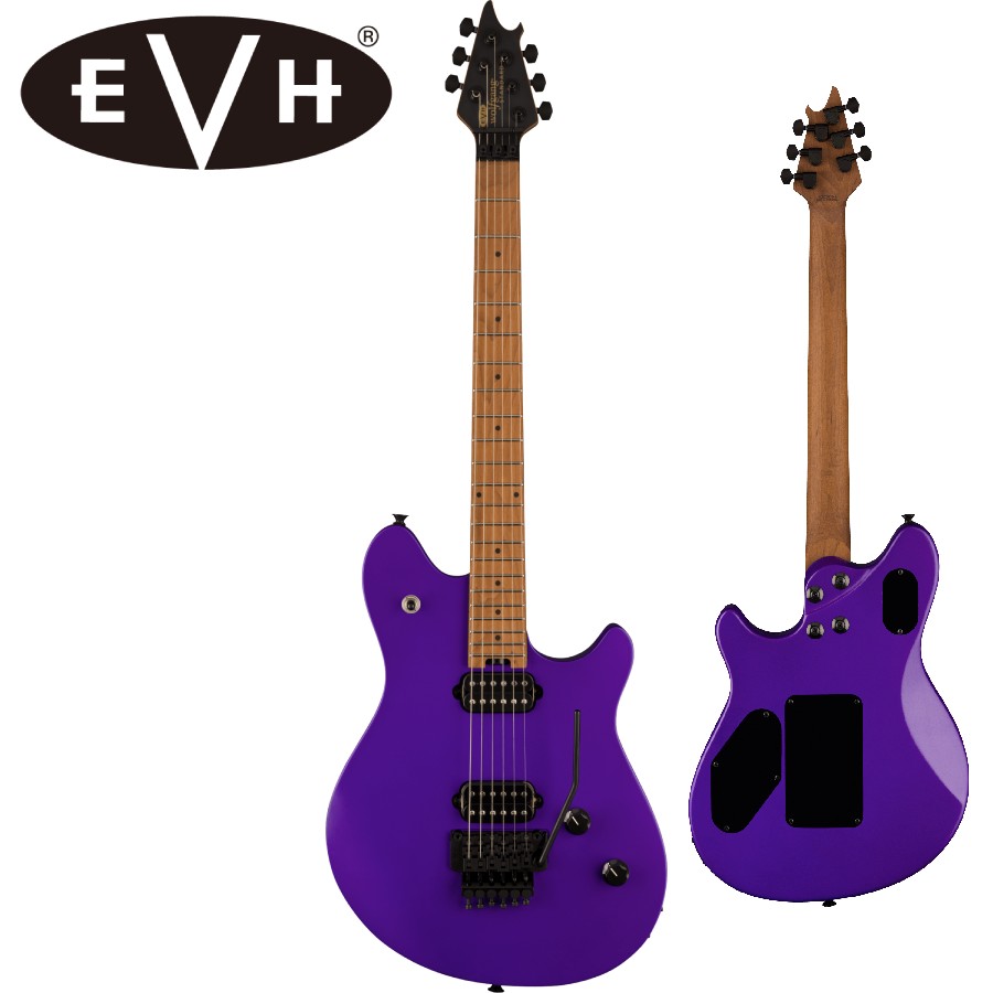 楽天市場】EVH / Wolfgang Special Striped -Black and Yellow- 新品