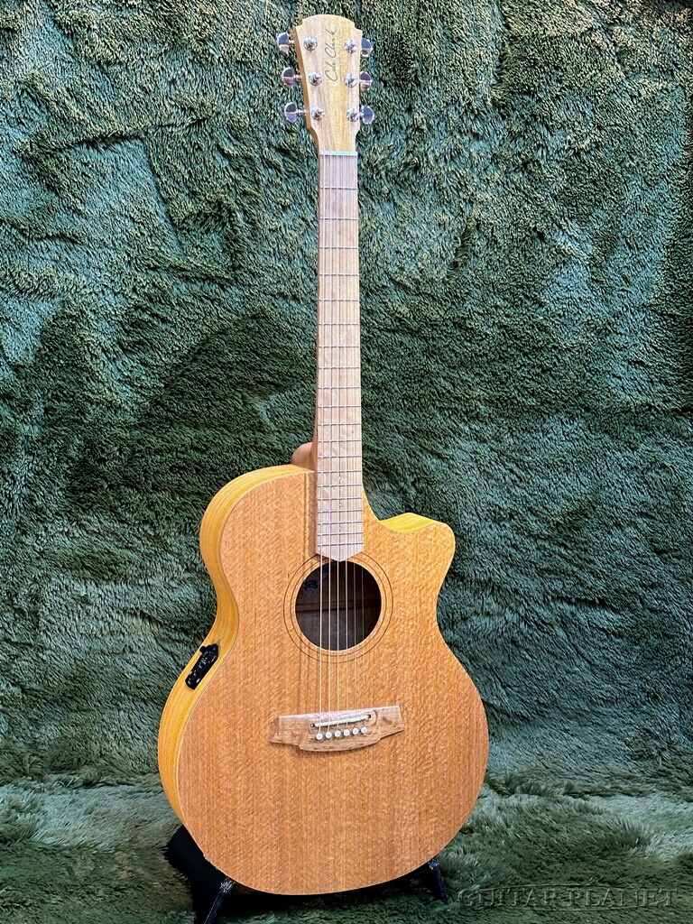 楽天市場】Cole Clark -20th Anniversary- CCFL2EC-BMR-ANVSY