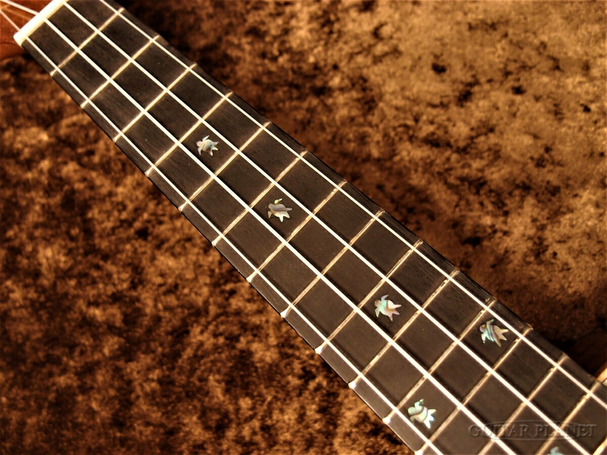 Big Island KX-CTG新品 Ukulele] コンサートウクレレ[ビッグアイランド