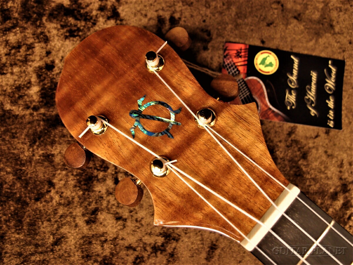 Big Island KX-CTG新品 Ukulele] コンサートウクレレ[ビッグアイランド