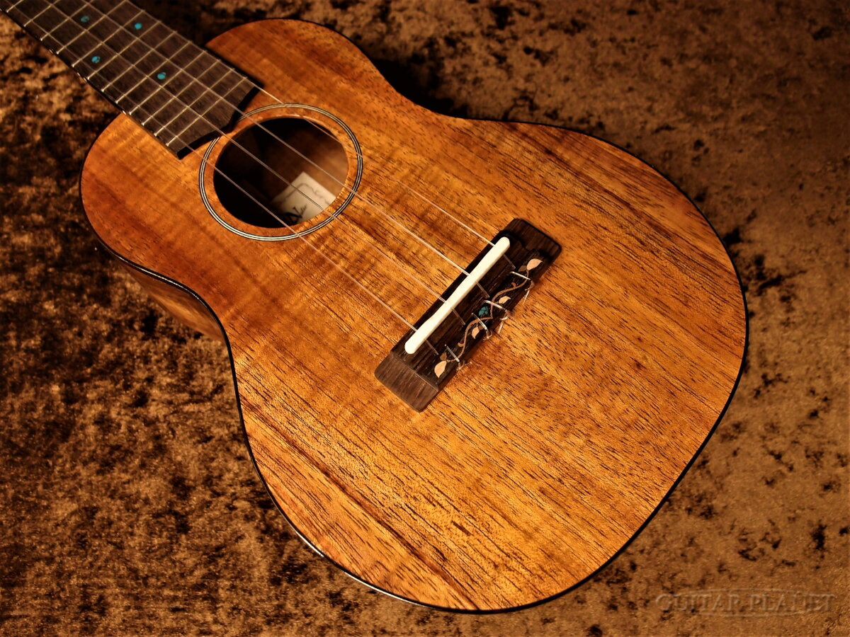 【楽天市場】FgN(FUJIGEN) FUS-TC【ハワイアンコア】新品 