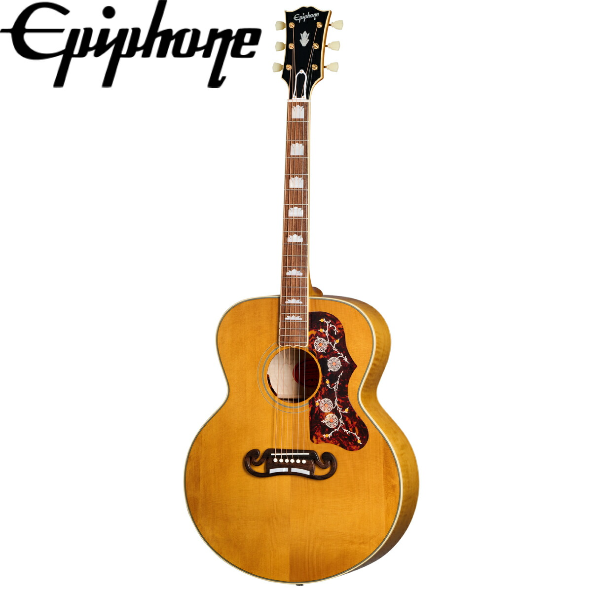 楽天市場】Epiphone DR-100 WR 新品 ワインレッド[エピフォン