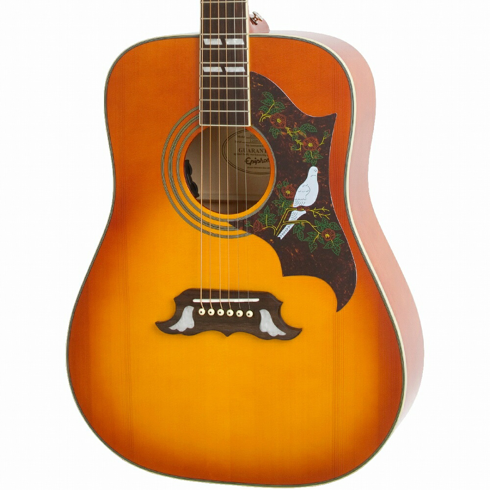 楽天市場】Epiphone DR-100 WR 新品 ワインレッド[エピフォン][Wine