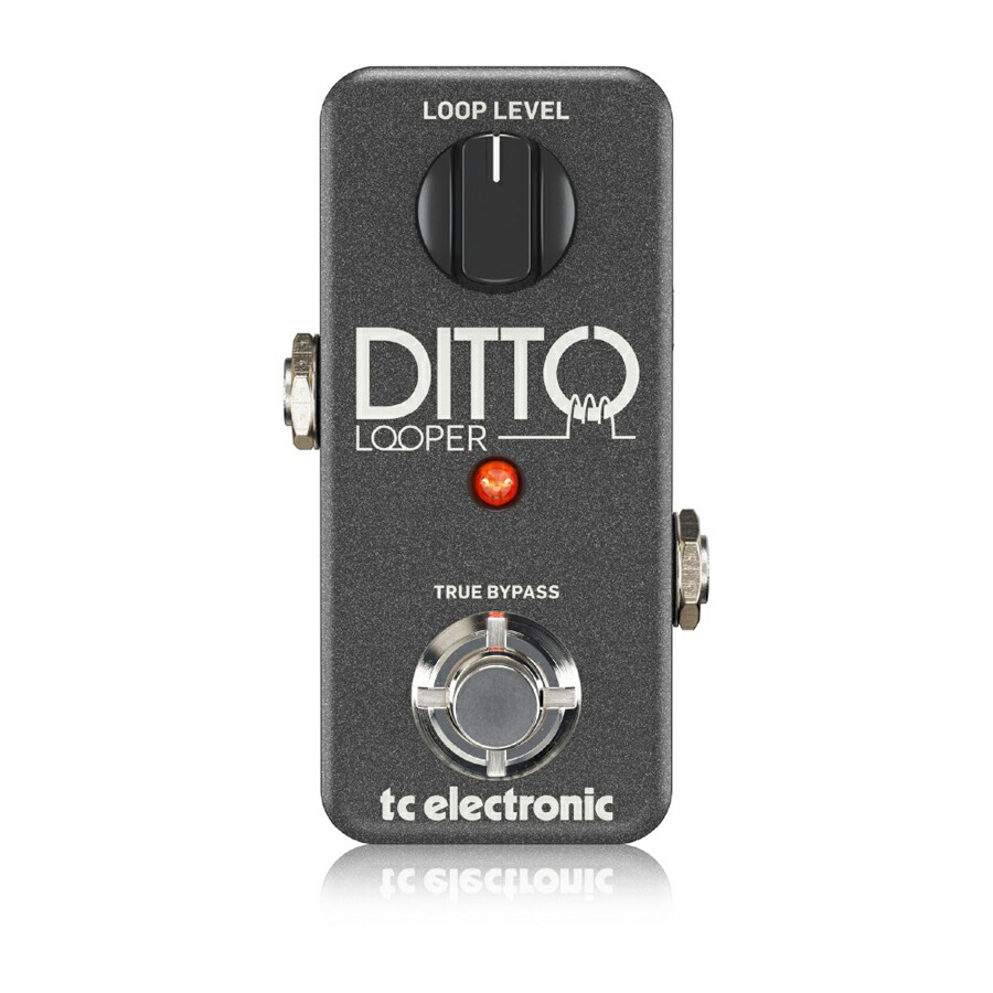楽天市場】tc electronic DITTO 2 LOOPER : MUSICLAND KEY -楽器-