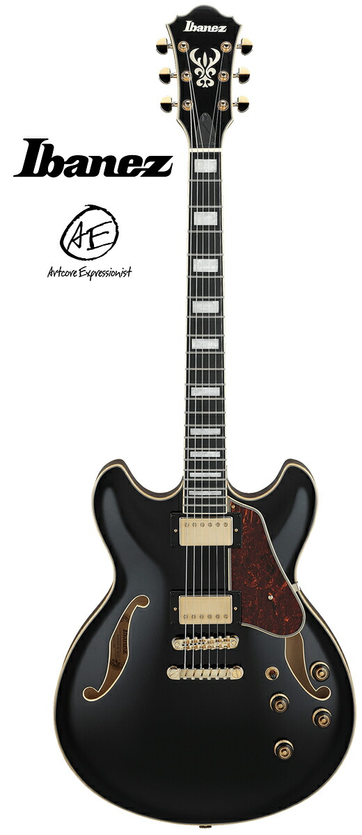 楽天市場】Ibanez AM200 -Black- 新品[アイバニーズ][ASRTSTAR
