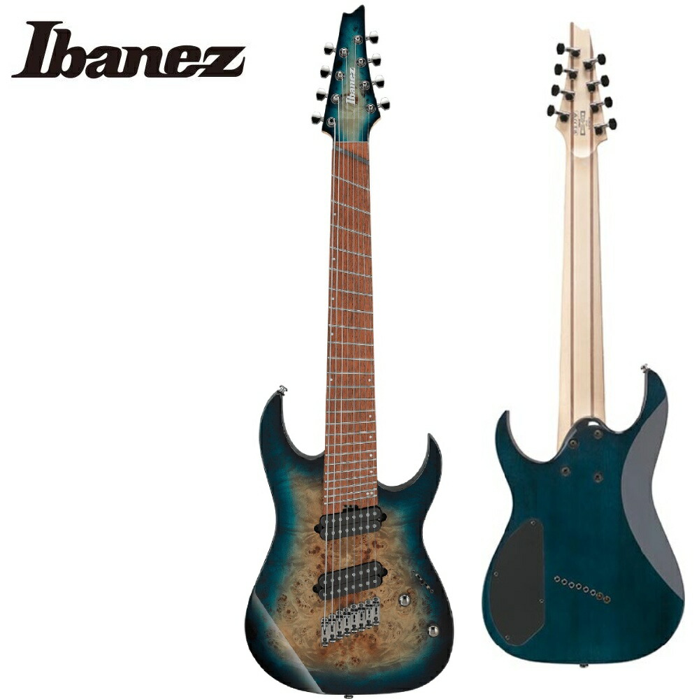 楽天市場】Ibanez RGDMS8 -CSM(Classic Silver Matte)- 新品