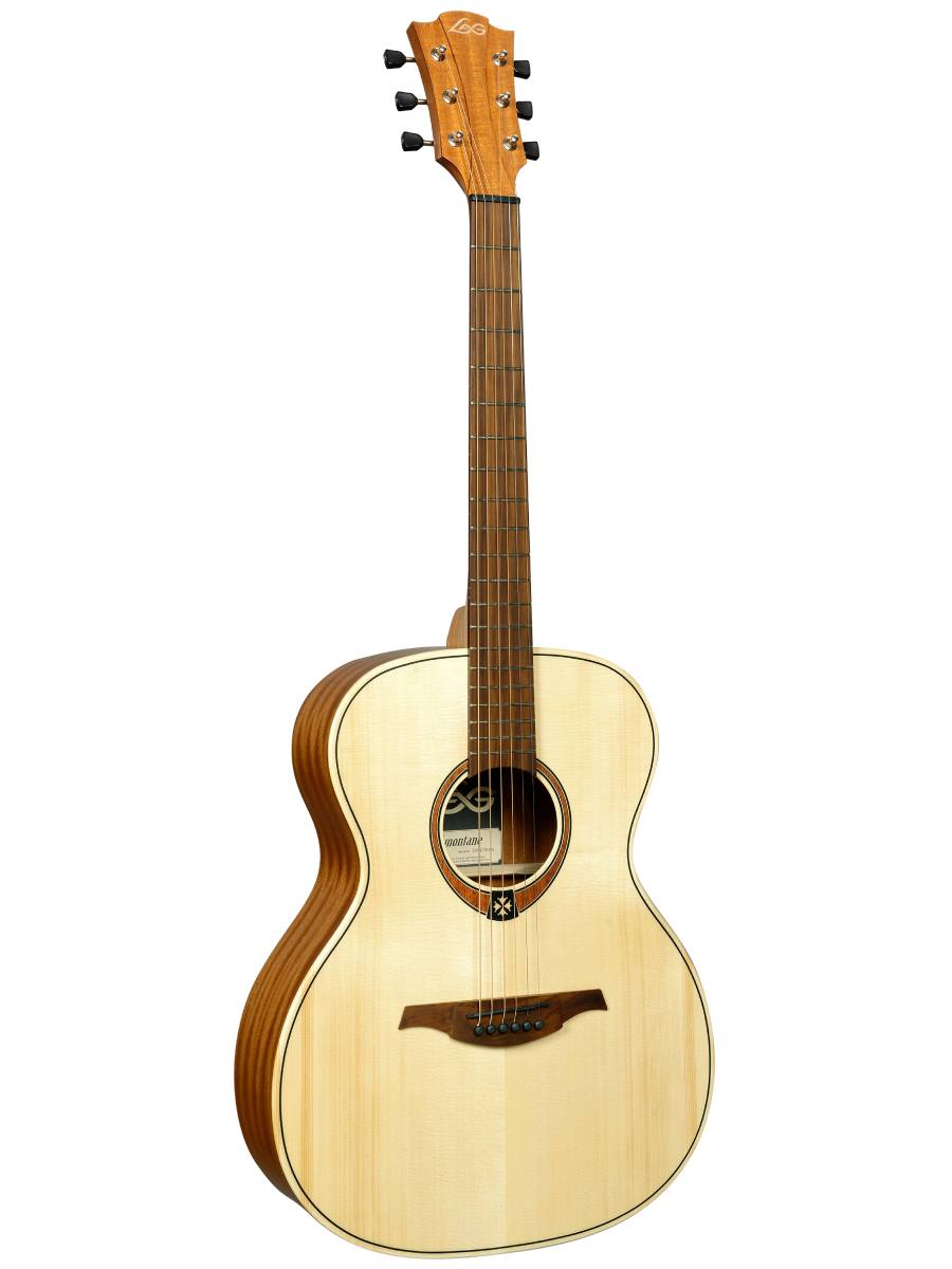 楽天市場】DCT H-310M 新品[Mahogany,マホガニー][Acoustic