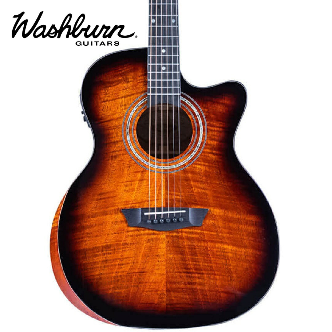 楽天市場】Washburn G20SCE 新品[ワッシュバーン][ピックアップ搭載