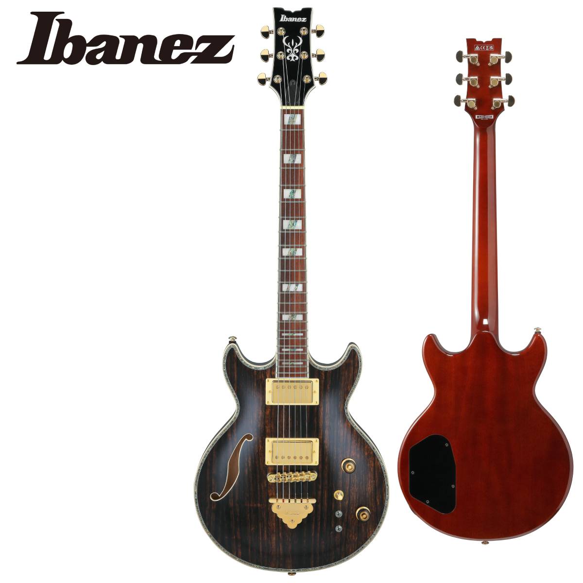 楽天市場】Ibanez AEG10NII TNG 新品[アイバニーズ][エレガット
