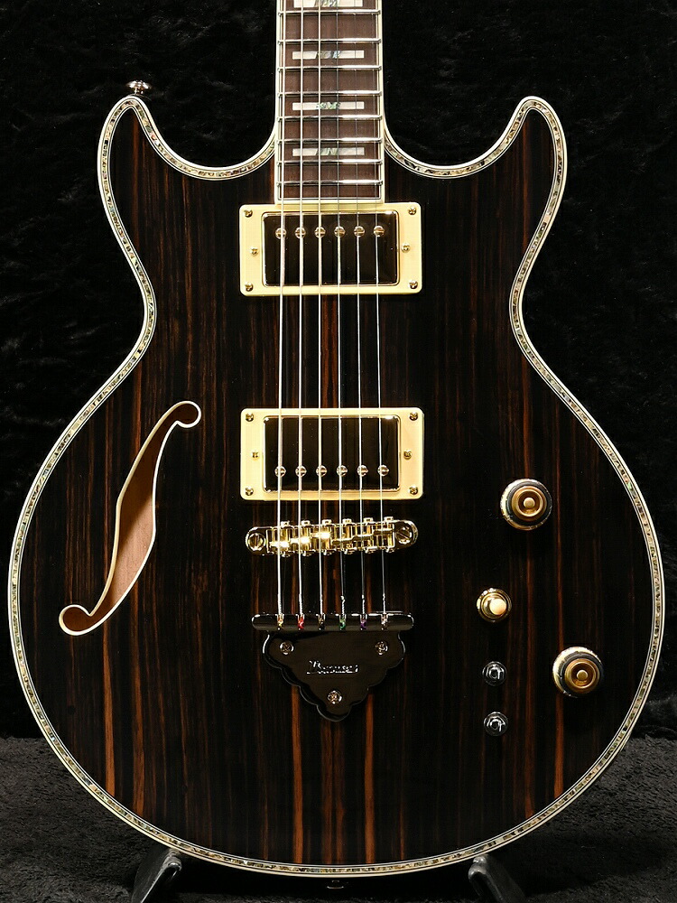 楽天市場】Ibanez AEG10NII TNG 新品[アイバニーズ][エレガット