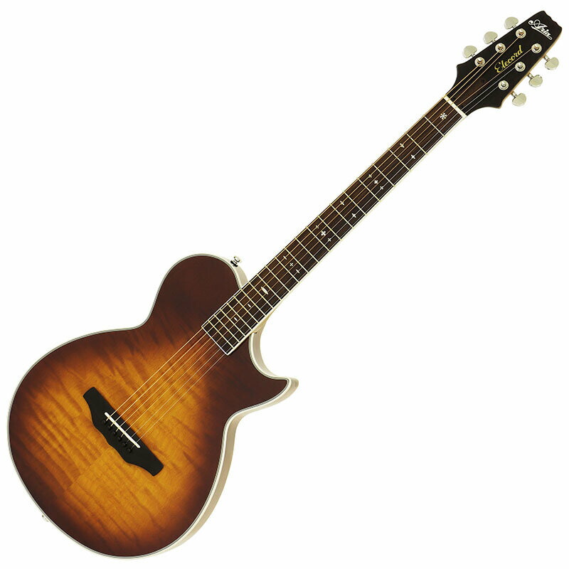Aria Pro Ⅱ アリアプロⅡ セミアコ AriaProII TA-200 BK (Black) セミアコギター ケース付属