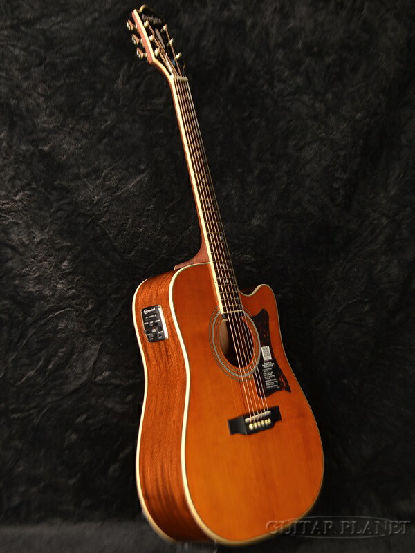 Epiphone DR-500M オール単板美品です - ギター