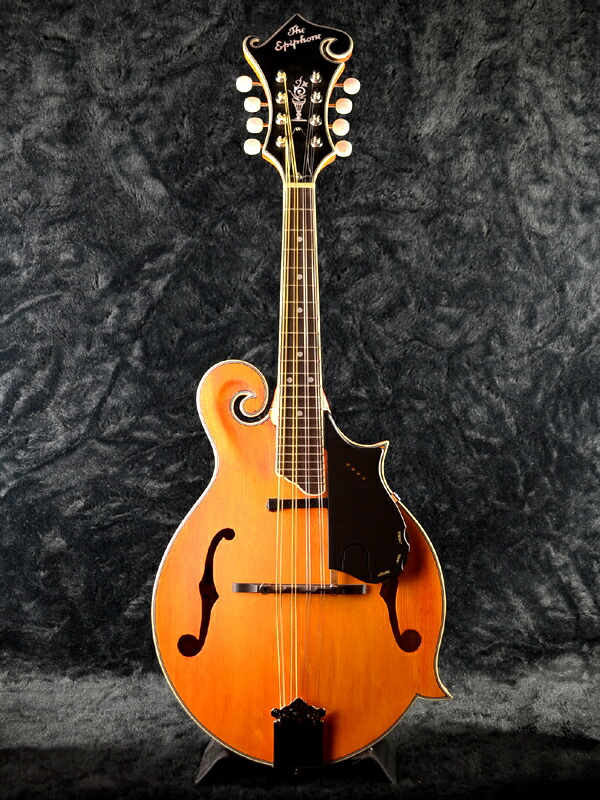 Guitar Rakuten Global Market Epiphone MM50E Professional