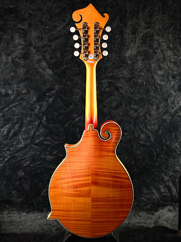 Guitar Rakuten Global Market Epiphone MM50E Professional