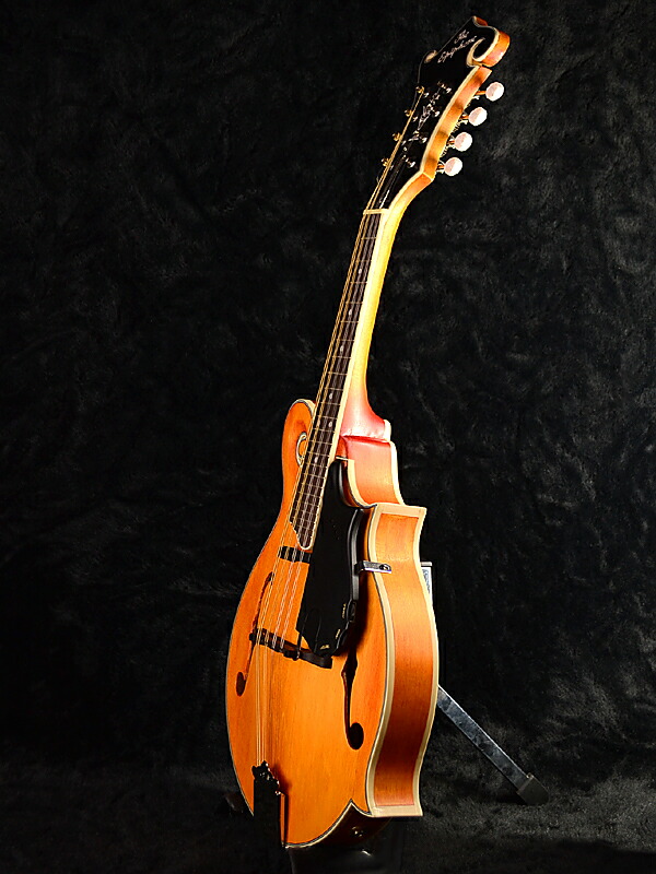 Guitar Rakuten Global Market Epiphone MM50E Professional