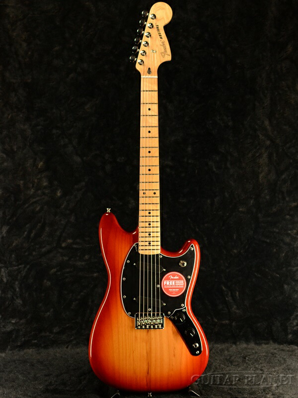 楽天市場】Fender Player Telecaster TPL/Maple 新品[フェンダー 楽天市場】Fender Player Telecaster TPL/Maple 新品[フェンダー