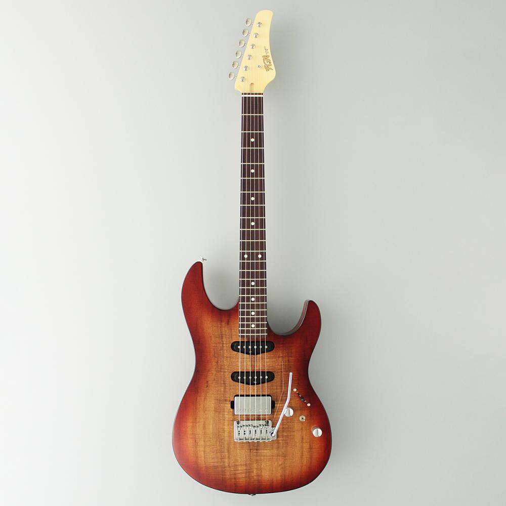 楽天市場】FGN Boundary BOS2-M CSFUJIGEN フジゲン 富士弦