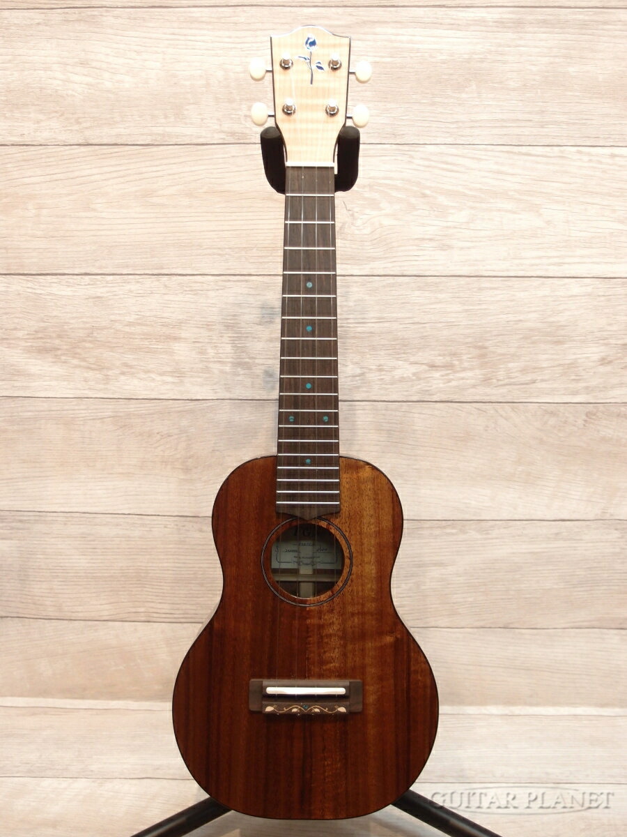 楽天市場】FGN ACOUSTIC AG1E NTF Natural FlatFUJIGEN フジゲン