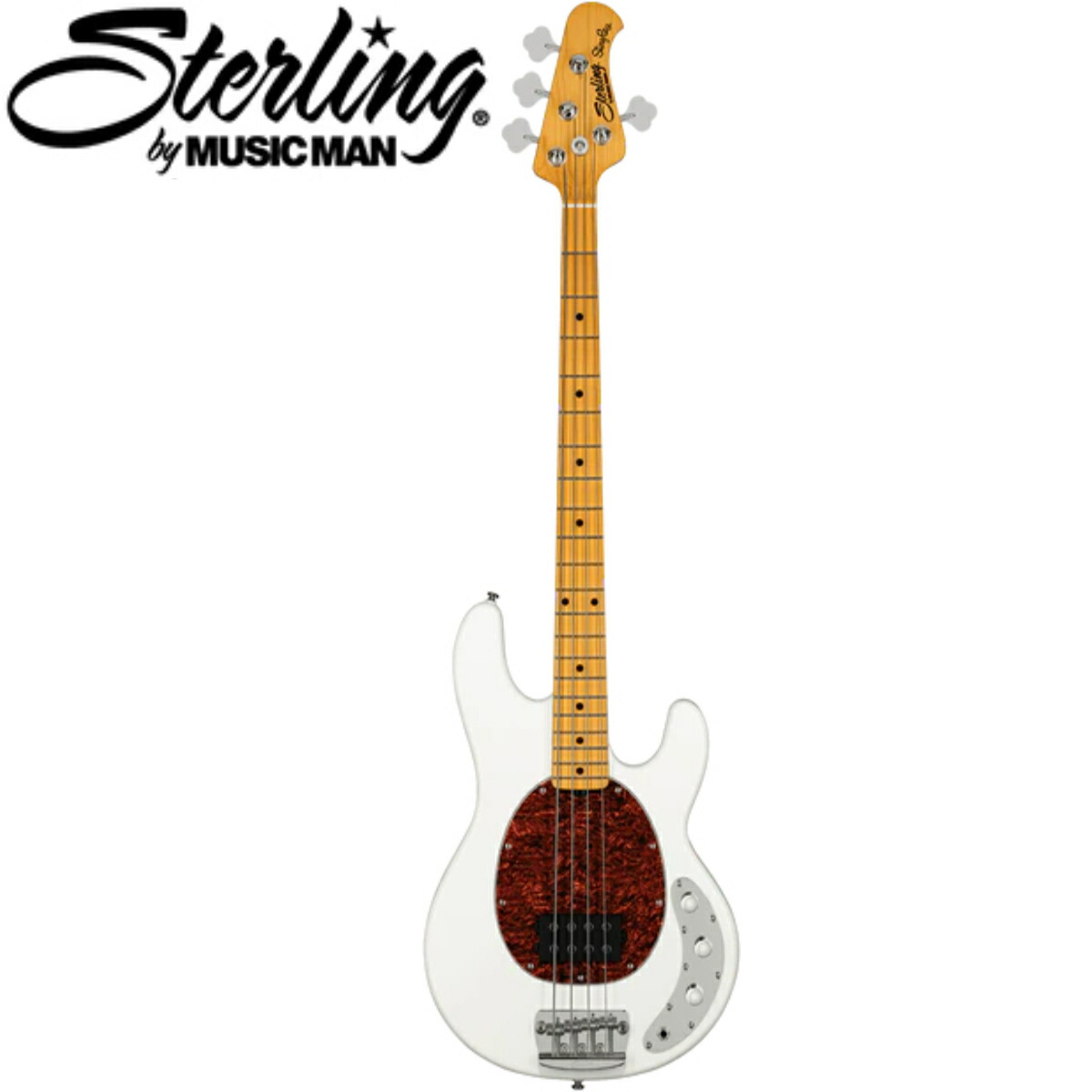 楽天市場】Sterling by MUSIC MAN SUB Ray25CA StingRay Classic