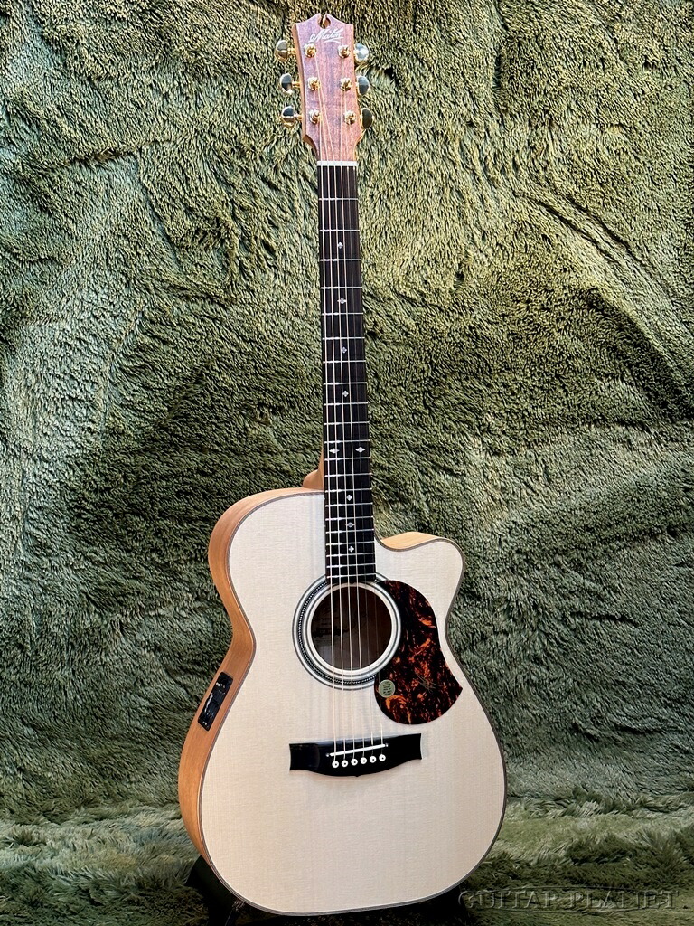 楽天市場】Maton PERFORMER エレアコギター メイトン 【 市川
