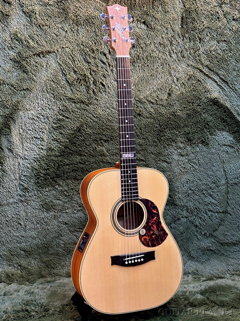 Maton TE-1 Artist メイトン トミー・エマニュエル ケース付 MATON TE-1 Japan Custom (Tommy Emmanuel Signature