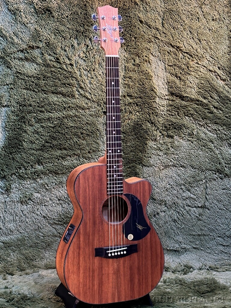 楽天市場】Epiphone DR-500MCE 新品 オール単板ボディ
