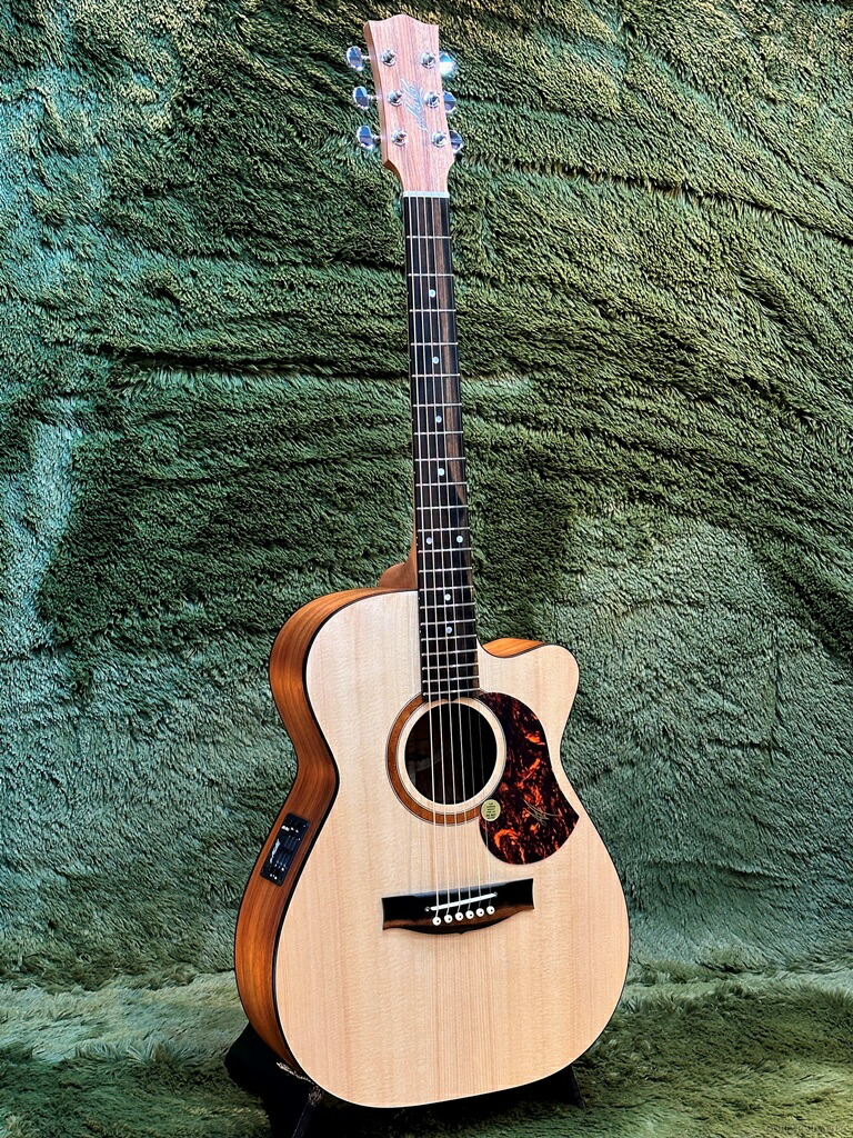 メイトン エレアコギター MATON EBG808TE - Tommy Emmanuel - #29878 メイトン ｜イケベ