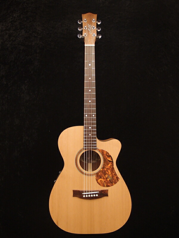 Guitar Rakuten Global Market Maton SRS808C brand new [mateen], [SRS808C] [Cutaway