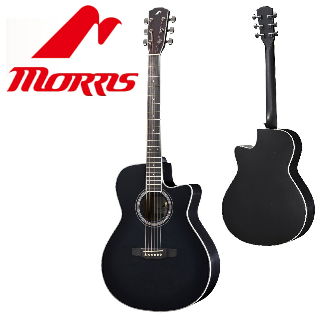 Morris　アコースティックギター imgrc0125266415.jpg