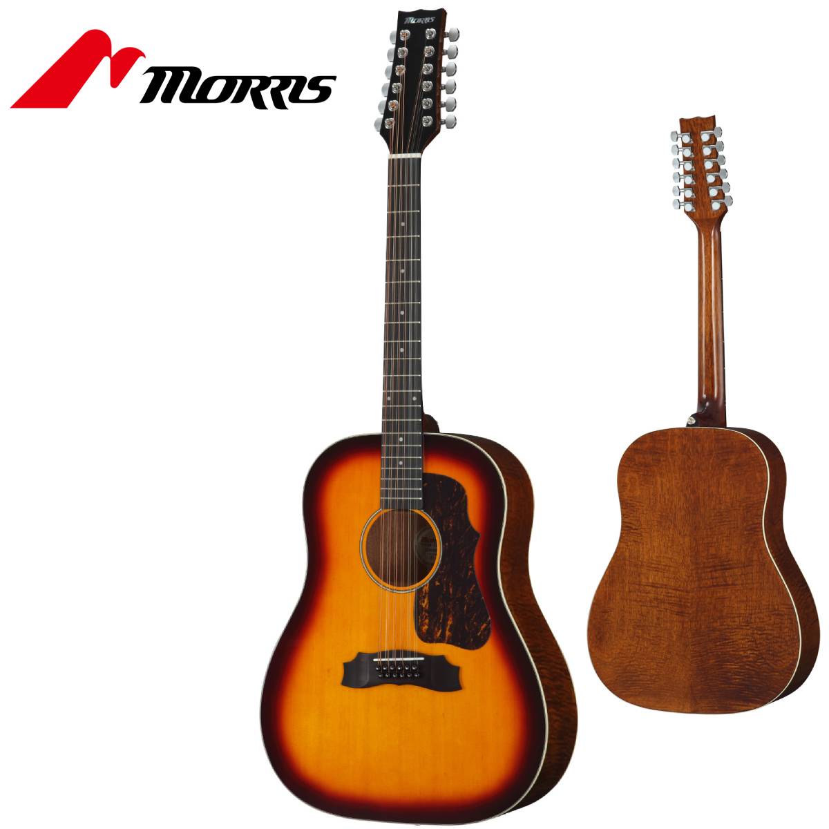 Morris　アコースティックギター jivemusic_m401-10