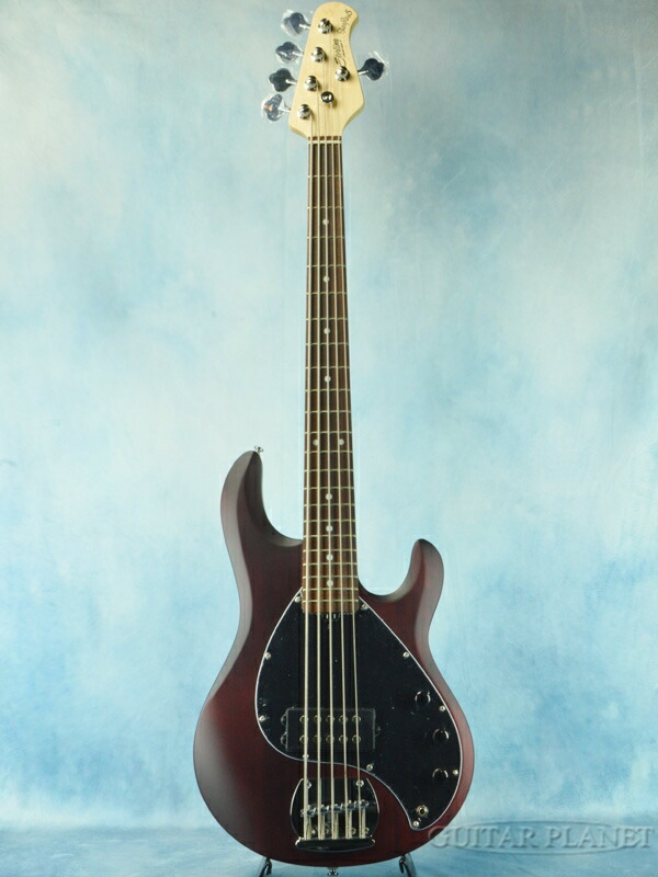 最新作の Sterling by MUSIC MAN S.U.B Ray 5 -Walnut Satin- 新品