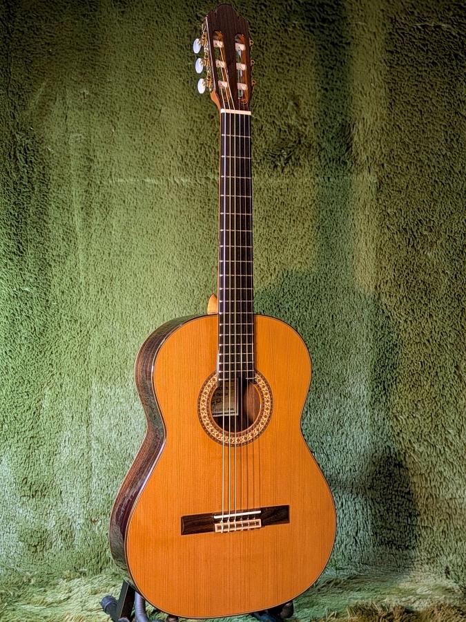 楽天市場】Antonio Sanchez EG-5 Spruce 新品[アントニオ