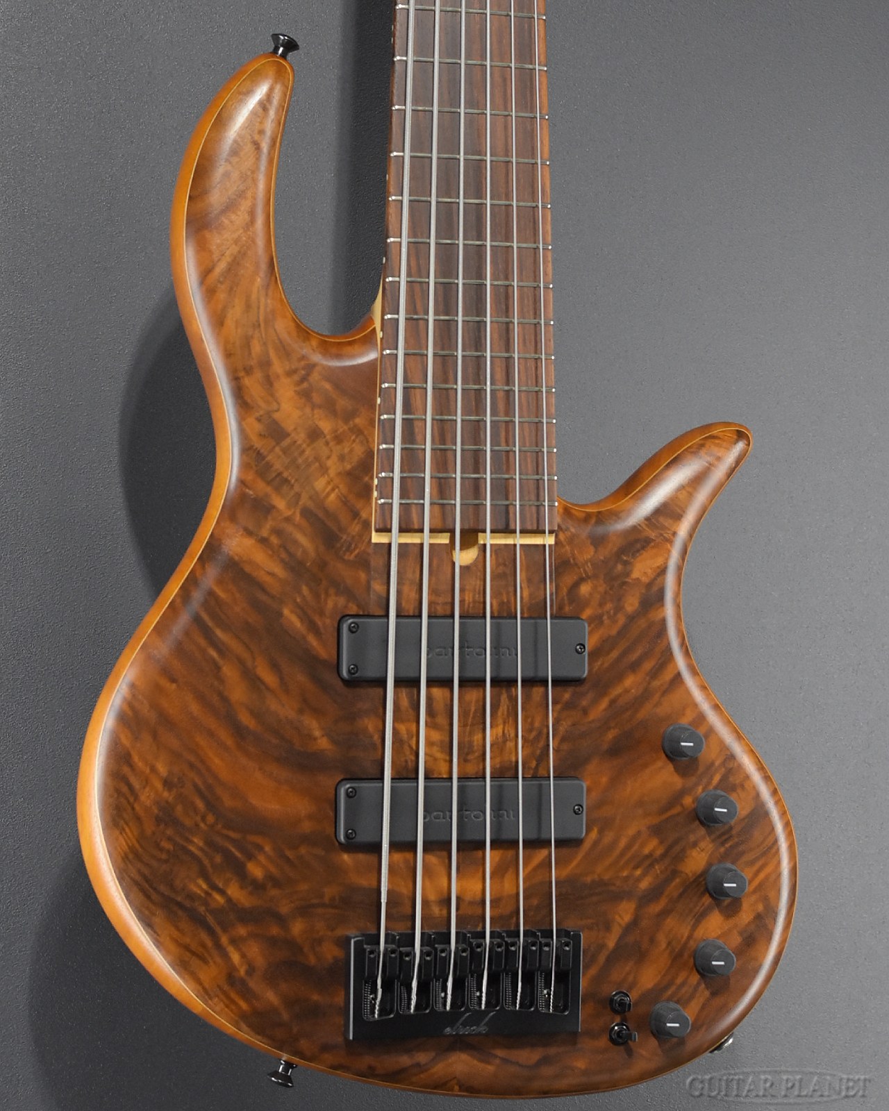 楽天市場】elrick Gold Series e-volution 4 FL -Striped Ebony Top