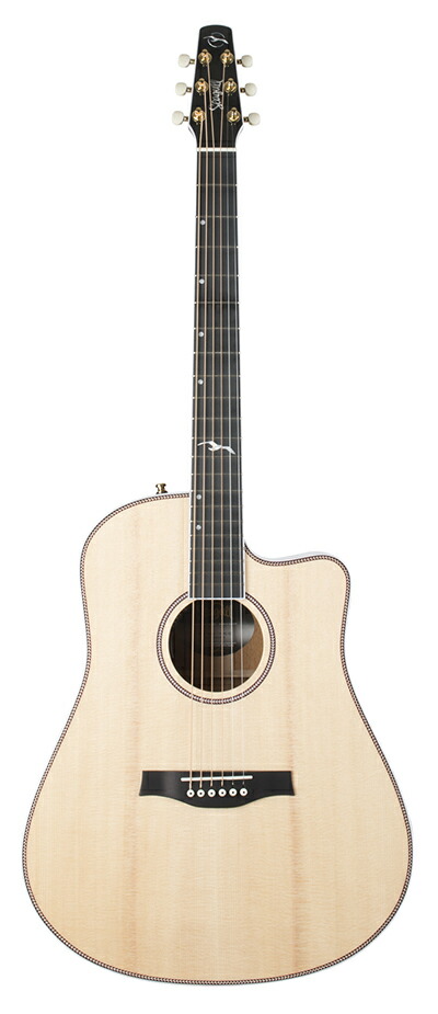 【訳あり】Seagull Grand アコースティックギター　エレアコ　シーガル アコースティックギター・エレアコ】Seagullより、新製品続々
