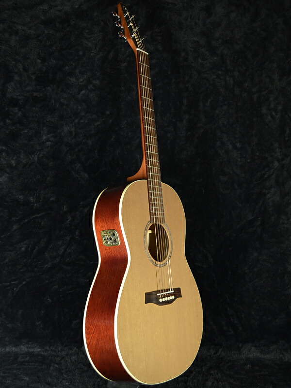 Guitar Rakuten Global Market Brand new (Canada) Seagull