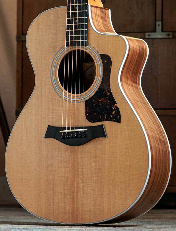 Wさま専用　Taylor 114ce アコースティックギター 楽天市場】Taylor（テイラー）114ce-SB Special Edition 2023