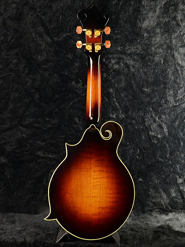 【楽天市場】Acoustic World Flat Mandolin F Type Ukulele 新品 コンサートサイズ [アコースティック